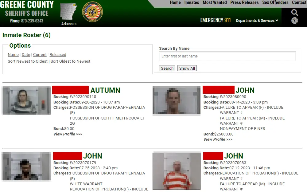 A screenshot of the inmate roster from the Greene County Sheriff's Office shows the inmate's details such as mugshots, full name, booking no. and date, charges, bonds and an option to view more information.